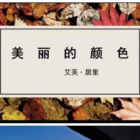 【教育质量提升年】盛夏忽已暮 浅秋正渐浓                   ——记初中语文组第四次教研活动