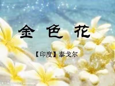 《金色花》 濮阳县第十一中学公开课（1）