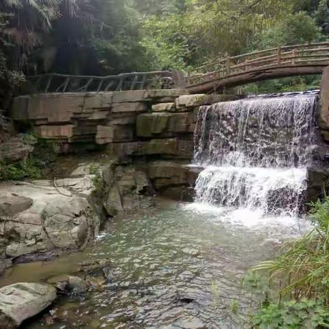 一路上的风景美不胜收，简直是一个世外桃源。到处是绿树，溪流，蝴蝶，如同原始森林一般，是一个天然的氧吧