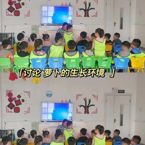 今佳幼儿园 海豚🐬一周小结