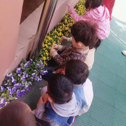 《爱上幼儿园，开心每一天》小二班本周课程总结❣️