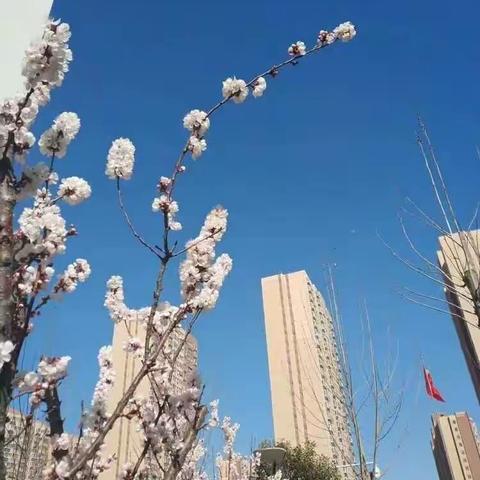 心如大海，春暖花开