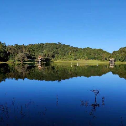 读好教科书 上好语文课，﻿——勐卡镇小学开展2022年春季学期语文大教研活动