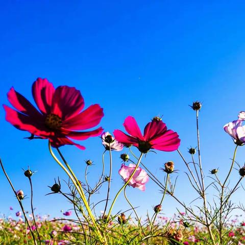 以研促教 落实“双减”，——勐卡镇小学开展第二次教学常规检查活动