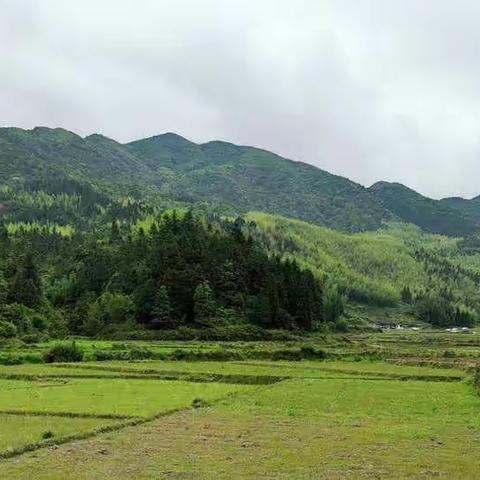 再重游合水鸡笼顶