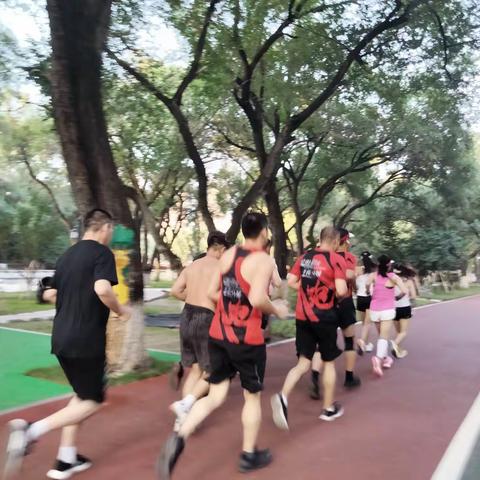 盛夏的你，仍是这么美丽