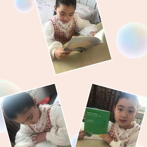 张宏宁——三年级二班《盲人摸象》