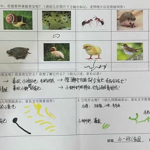 蛙🐸哦