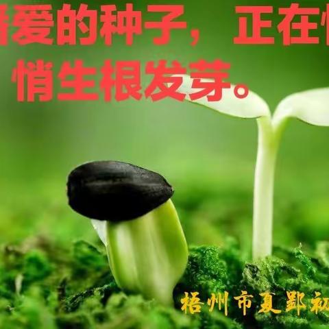 风雨兼程，爱在家访路上——记夏郢初中2022年春季开学前大家访活动