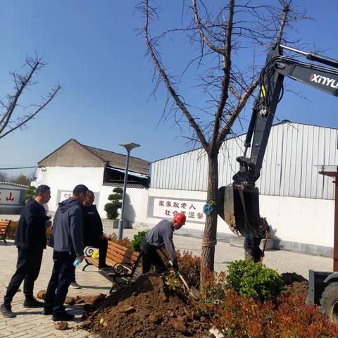 植树添新绿，不负好春光——灞陵街道吴庄社区开展植树活动