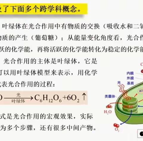 相遇云端，教研同行——临沂湖南崖小学科学人教云教研培训活动