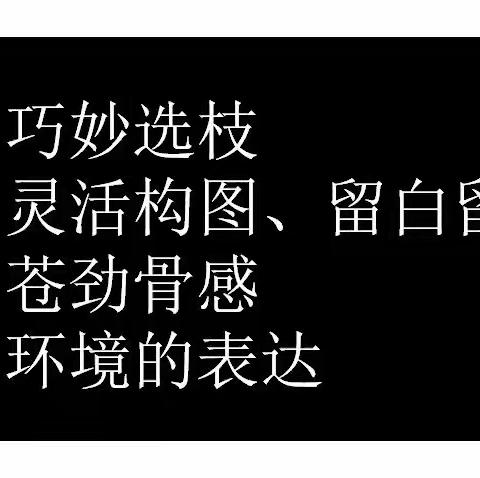 2023牟2月15日 免费的摄影技术学习 共十章节