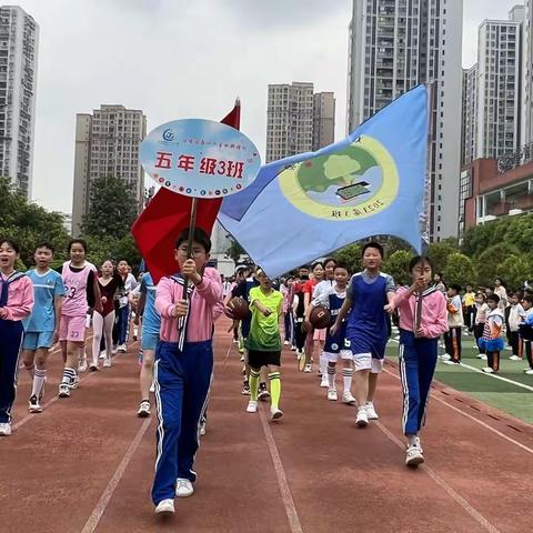 种子班，加油！