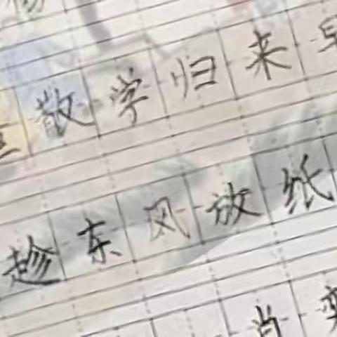 写好中国字,做好中国人——二(6)中队规范汉字书写展