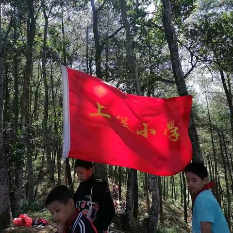 一年好景君须记，最是橙黄橘绿时——上堡小学秋季研学记