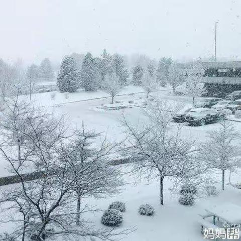 我与冬雪有个约会～～二四班雪趣纪实