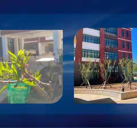 家校携手，共克时艰，暖阳拂面，静待“花”开！——西宁市光华中学召开线上家长会