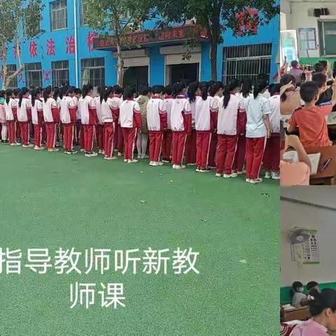 师徒携手，教学相长—实验小学新老教师结对帮扶共成长