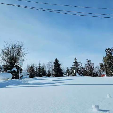 齐心协力清积雪，家校合作暖人心