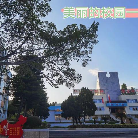 校园活动 精彩纷呈，——🌺🌺廷中八年级期中考试获奖颁奖、班级文化建设欣赏暨家长会篇2020.11.28