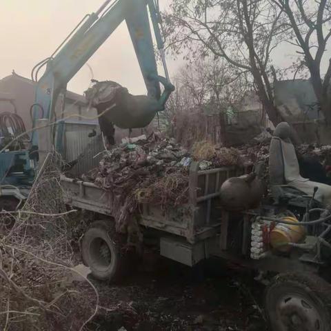芦台经济开发区加强环境综合整治