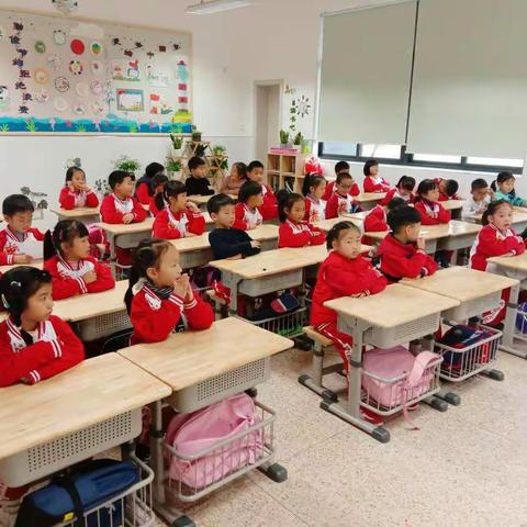 我的班委我来选