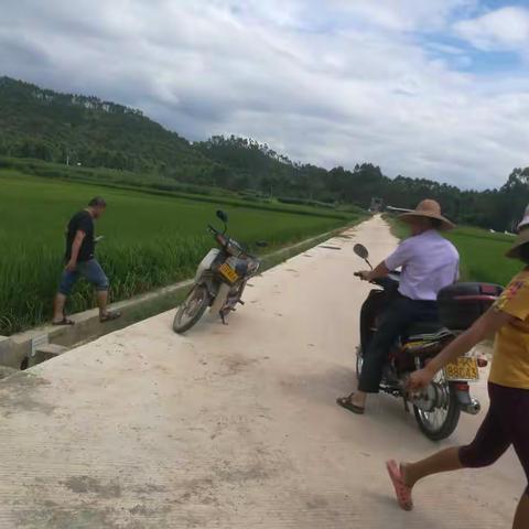 鹤山坡第三阶段抗旱侧记