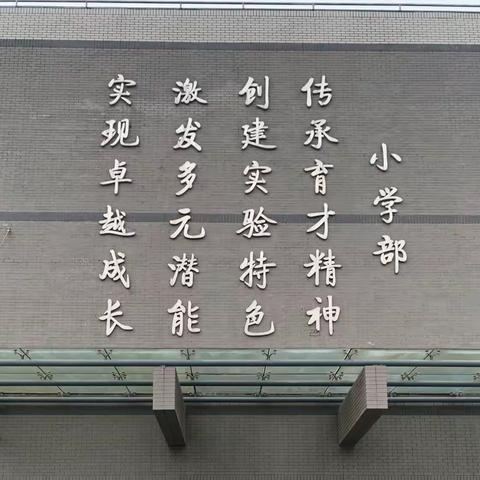 舞动“绳”弦  跃动青春