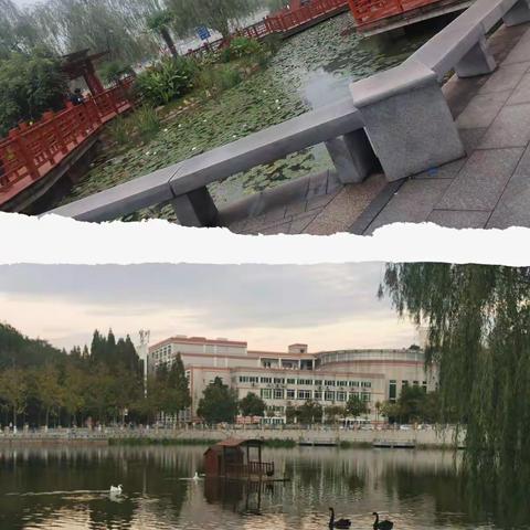 成长路上，遇见最美的自己 ——“国培计划2021”市级骨干教师提升培训