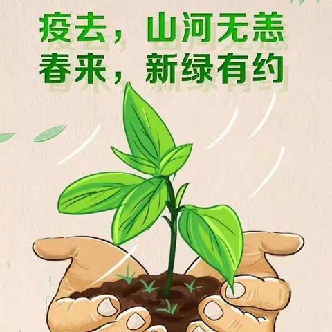 春风又绿校园柳  百花争艳为君开——登云中学九年级返校复学第一天记