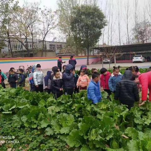 收获喜悦，品尝快乐——彭集街道中心幼儿园幼儿园丰收系列活动