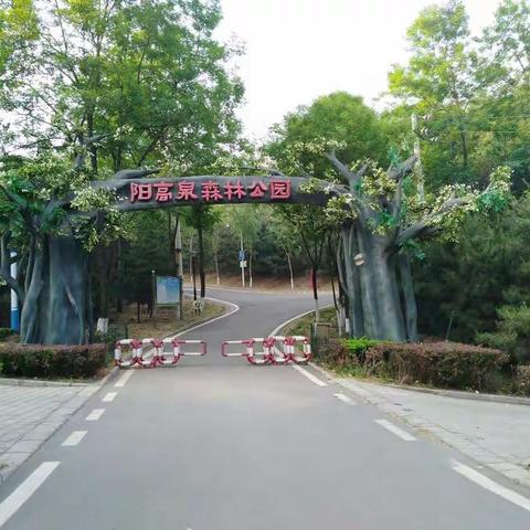 为健康努力第一天