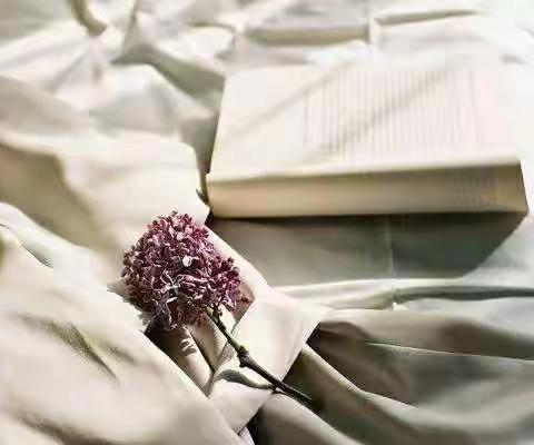 回民区实验小学六（4）班“国学经典古诗词诵读听写竞赛”