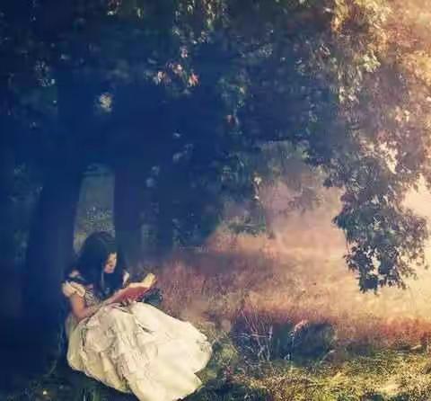 “ 爱读书，会读书，读好书 ”  ——回民区实验小学五(4)班读书活动