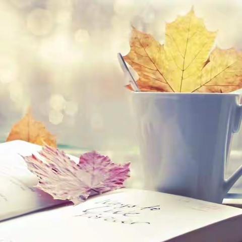 回民区实验小学六二班“成语故事大赛”