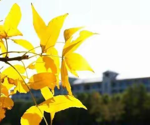 “关爱心灵 ，携手成长”回民区实验小学主题升旗仪式