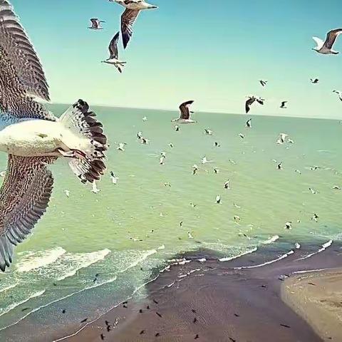 “ 爱读书，会读书，读好书 ”  ——回民区实验小学六(4)班读书交流会