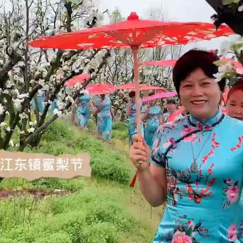 美丽乡村之金东区江东镇梨花节