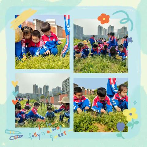 初春踏青，寻觅野菜——五星幼儿园大一班春游活动