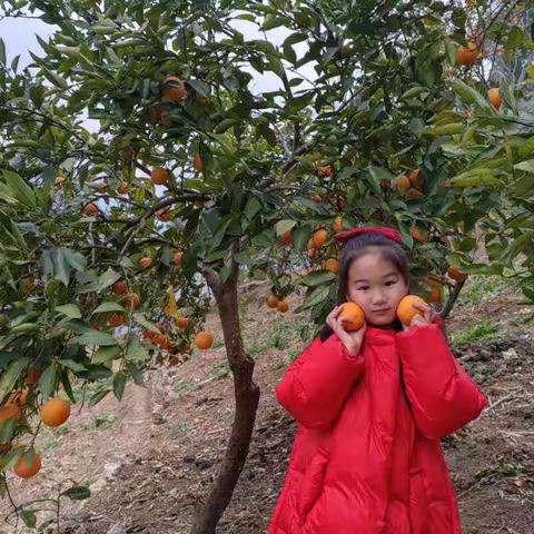 欢天喜地过大年