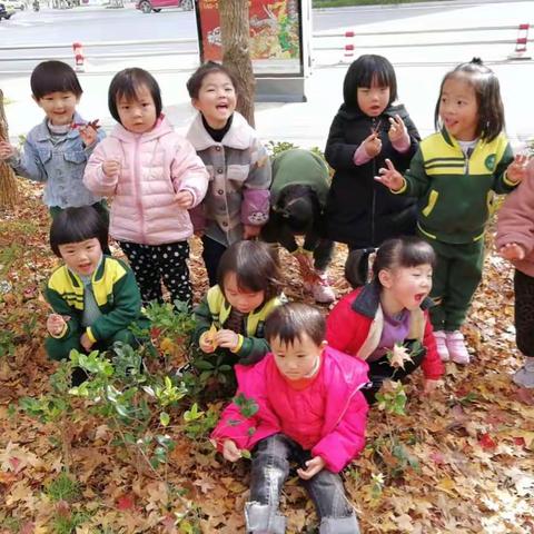 博泰国际幼儿园维尼班的小朋友一起去探索秋天的秘密，寻找秋天的美！