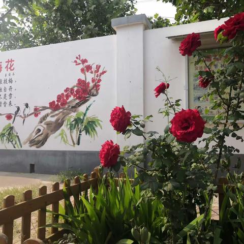 重返校园，重启美好——致东孟庄小学的家人们