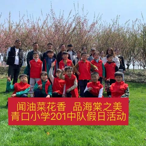 【真善美大实践】闻油菜花香，品海棠之美——青口小学201中队假日活动