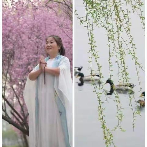 秦岭路社区“三八”节前忙宣传送平安