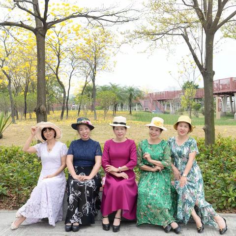 我在黄花风铃——春天等你（2022、3、16）