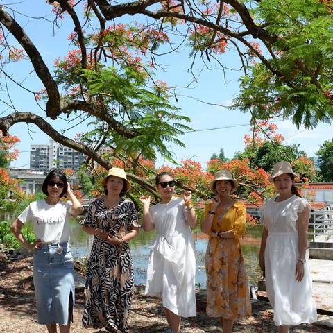 台山凤凰花游花絮（2022、5、19）