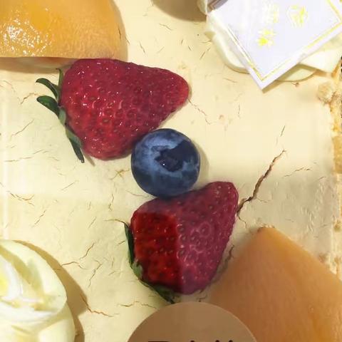 2023年4月11号  浩浩日记