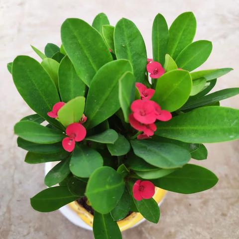 浩浩日记2022年9月6号