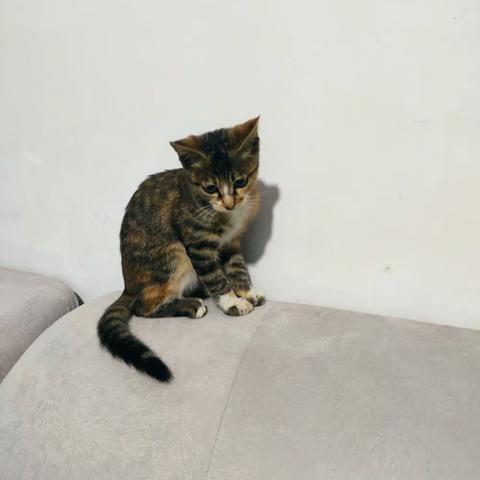 浩浩日记 2022年9月14号