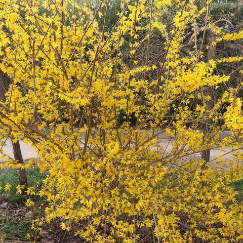 2022年7月27号浩浩日记